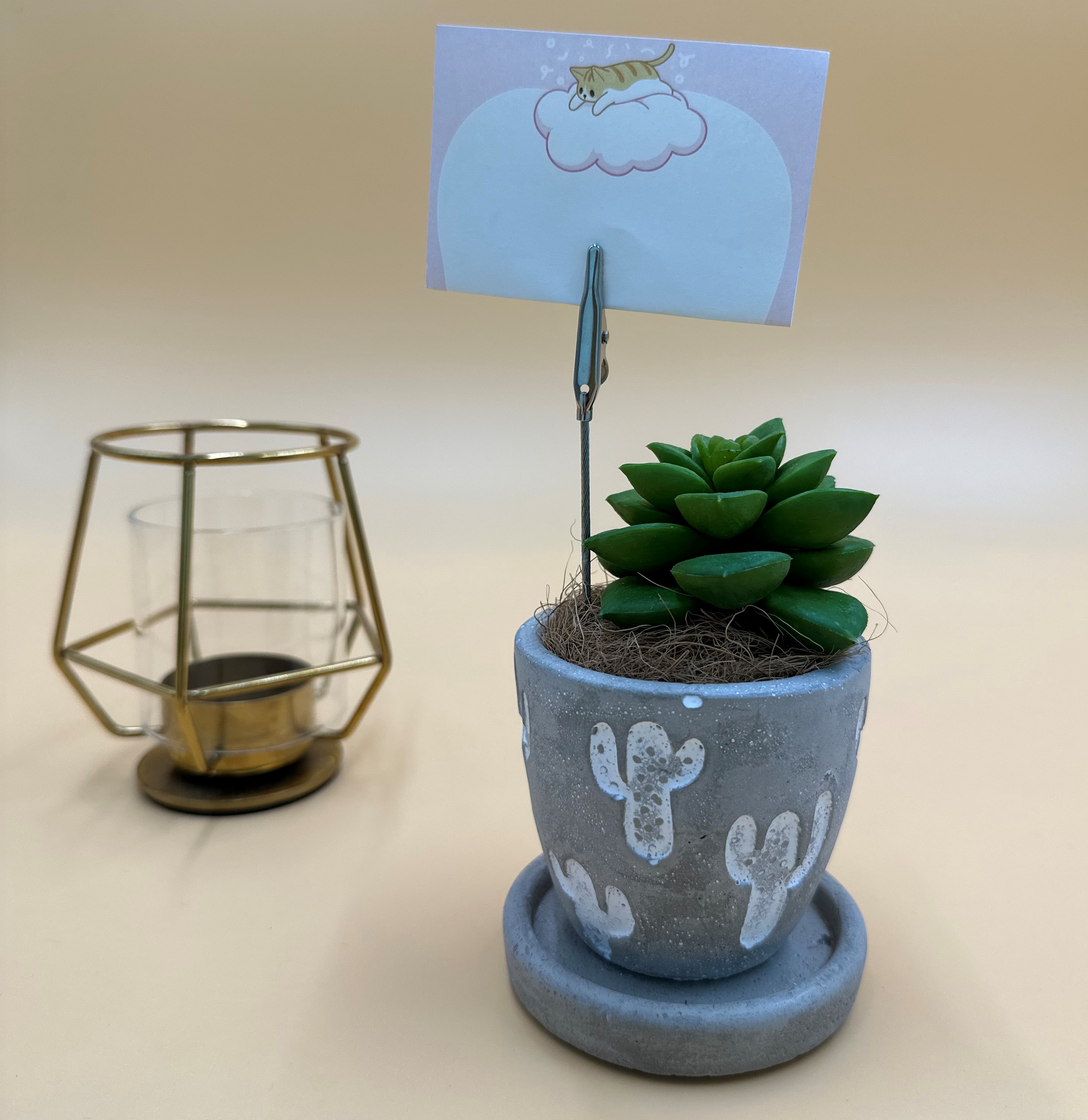 擬真植物留言夾